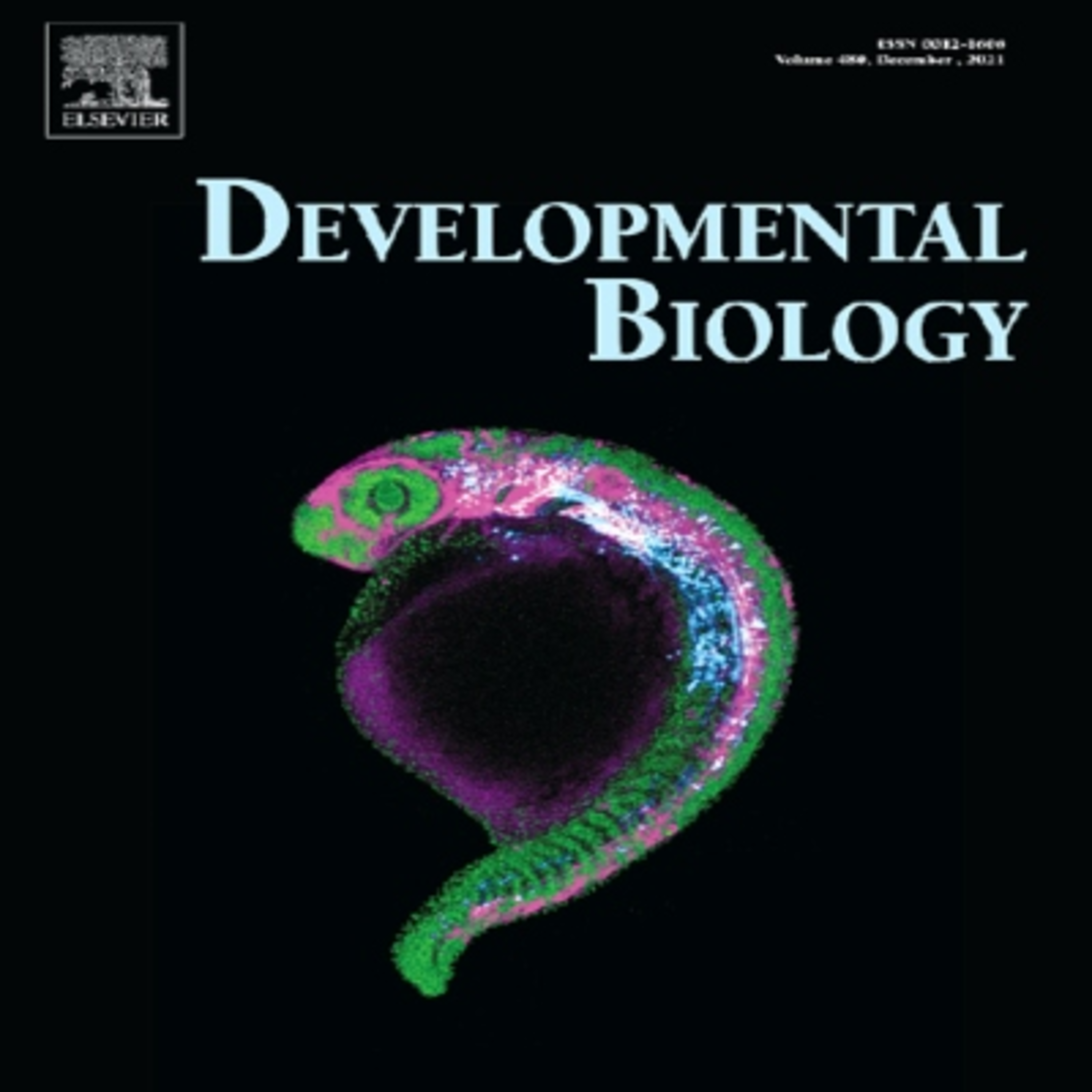 Developmental Biology